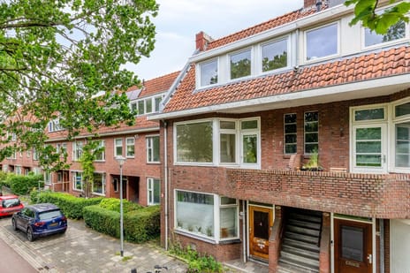 Hoendiep thumbnail