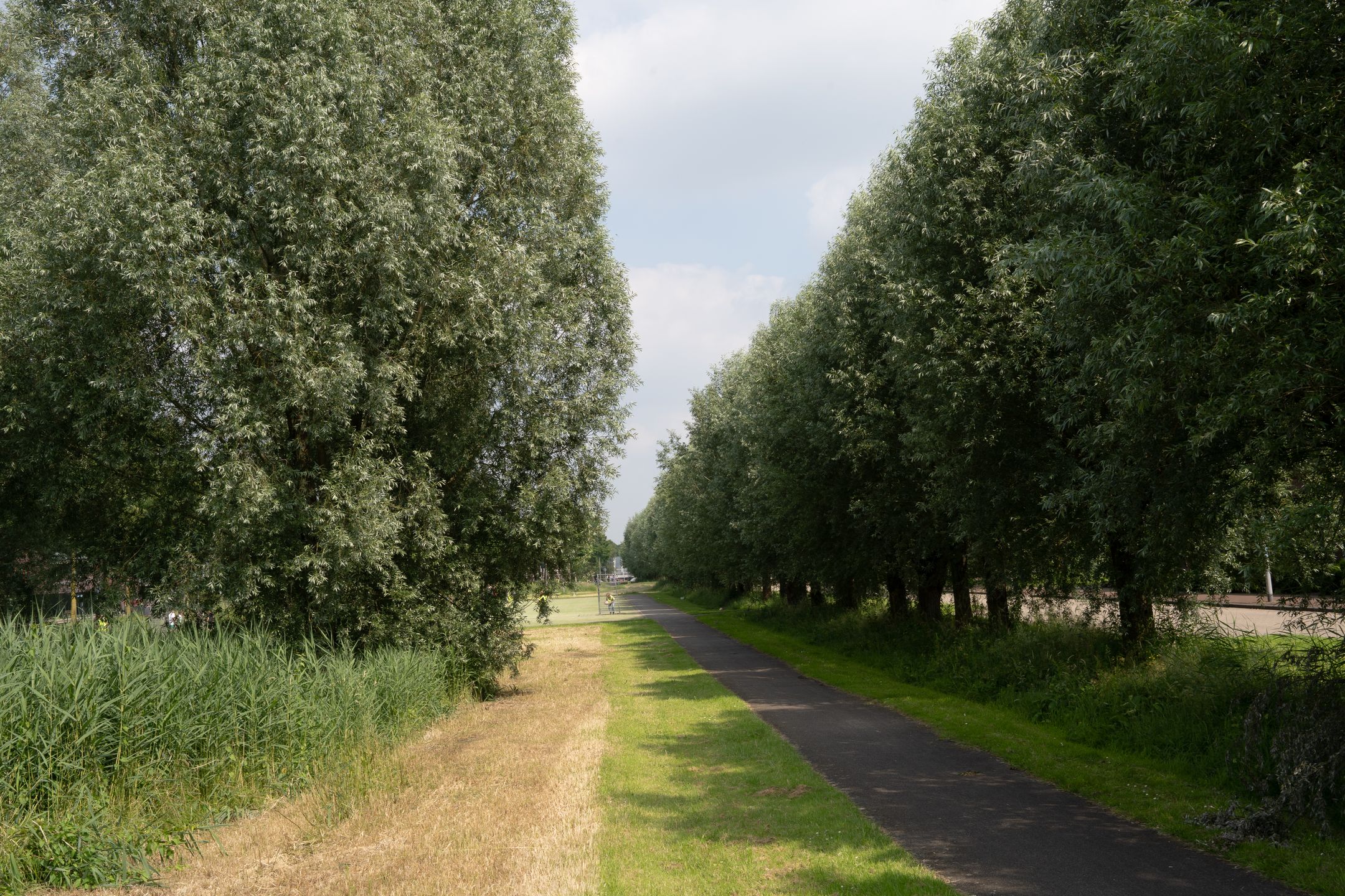 Foto 30 van Sadatstraat 6