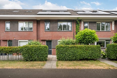 Graaf Arnulfstraat thumbnail