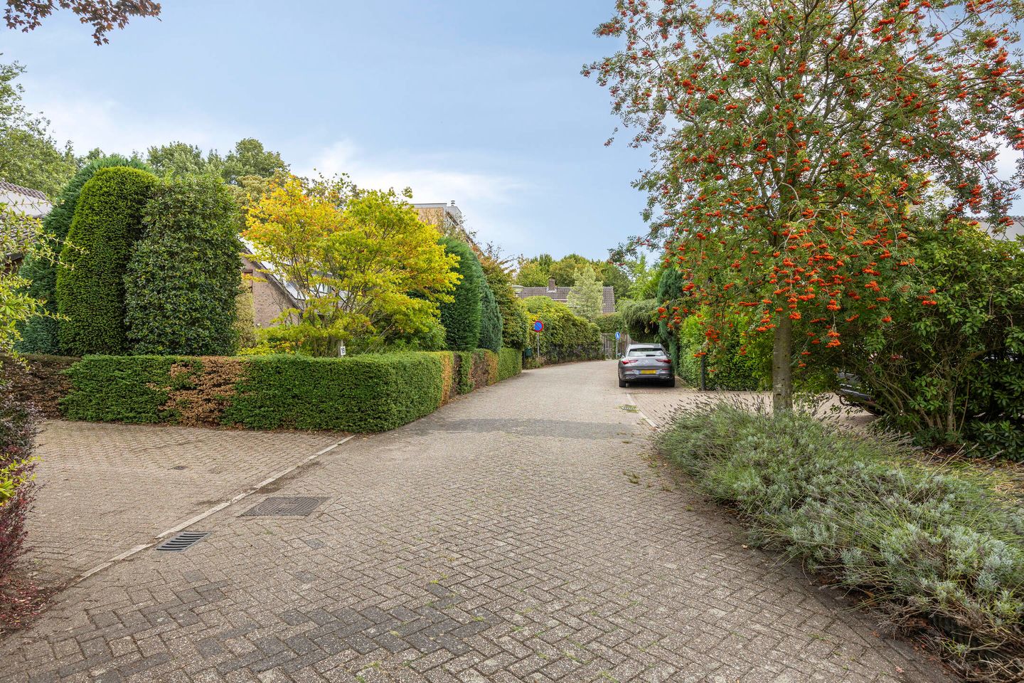 Foto 49 van Apollovlinderlaan 19