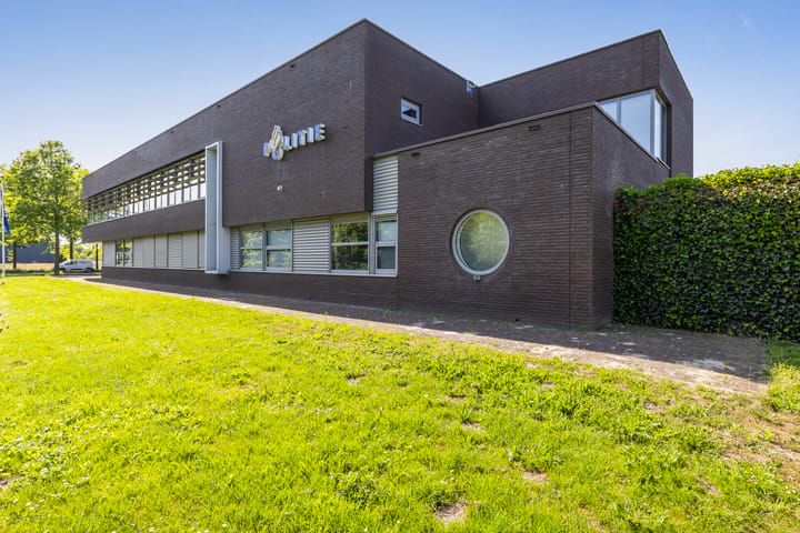Grote Weegbree 2