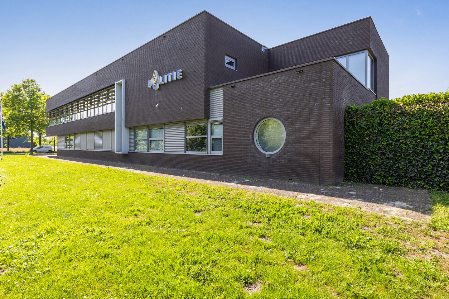 Bekijk foto 1 van Grote Weegbree 2