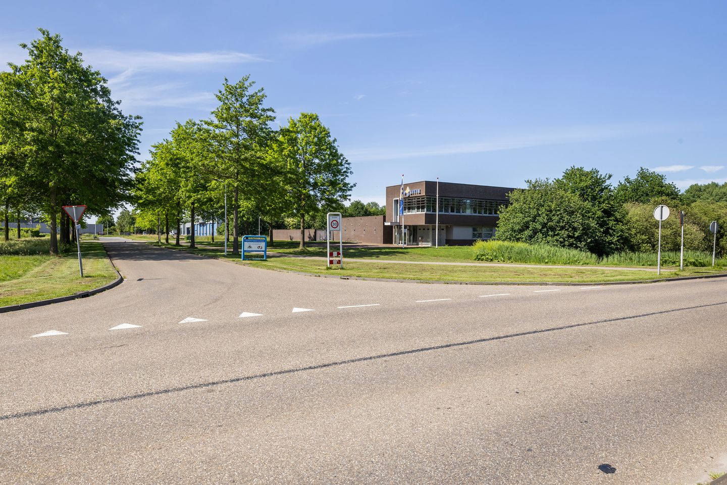 Bekijk foto 3 van Grote Weegbree 2