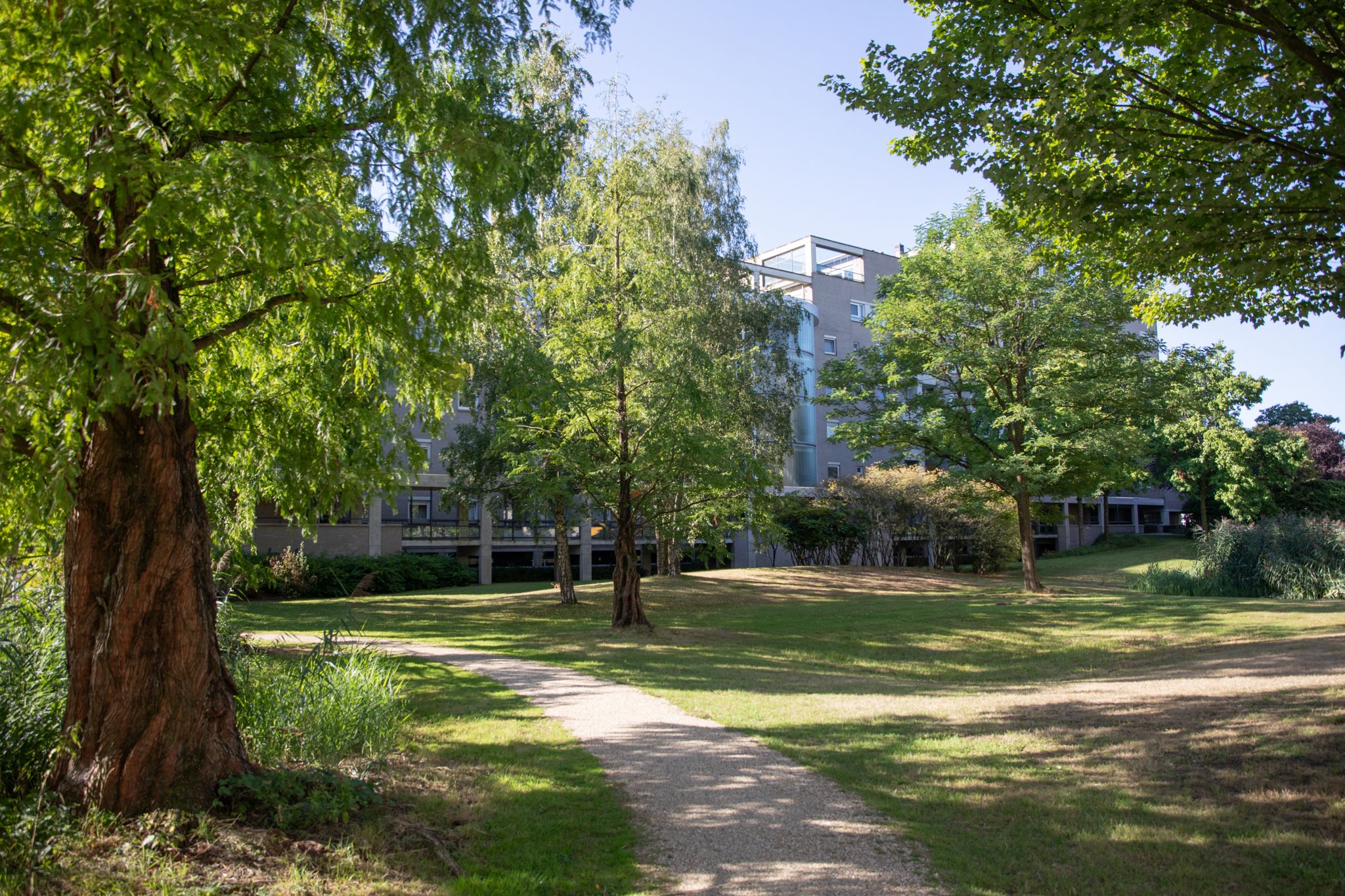 Photo 63 of Heunpark 2423