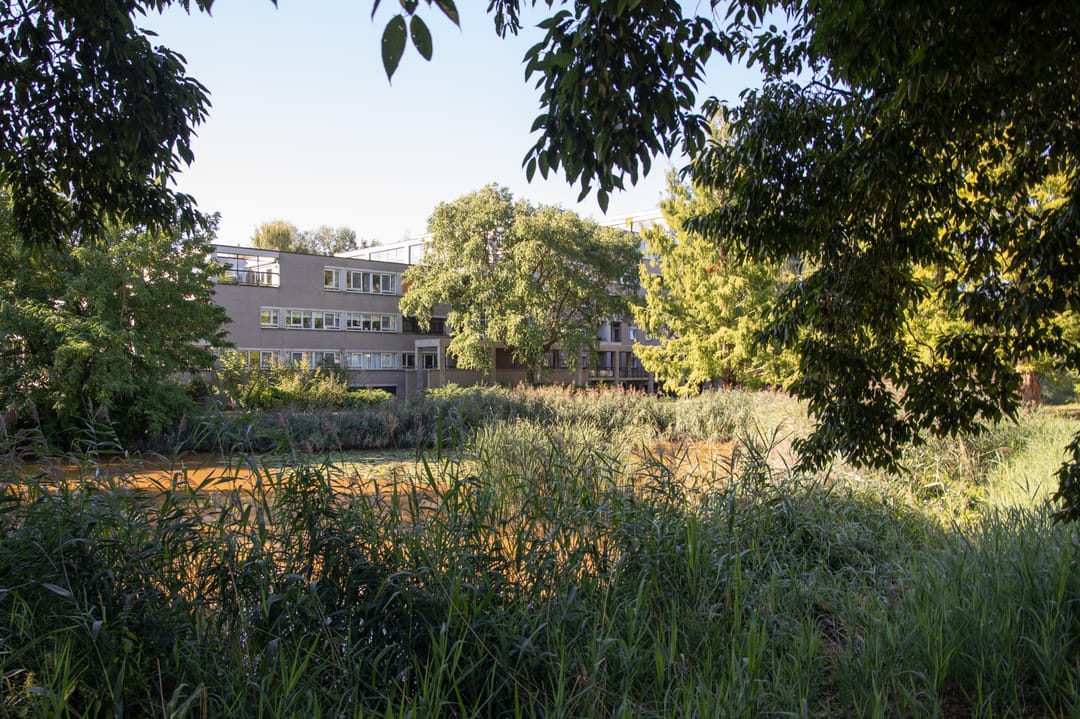 Photo 61 of Heunpark 2423