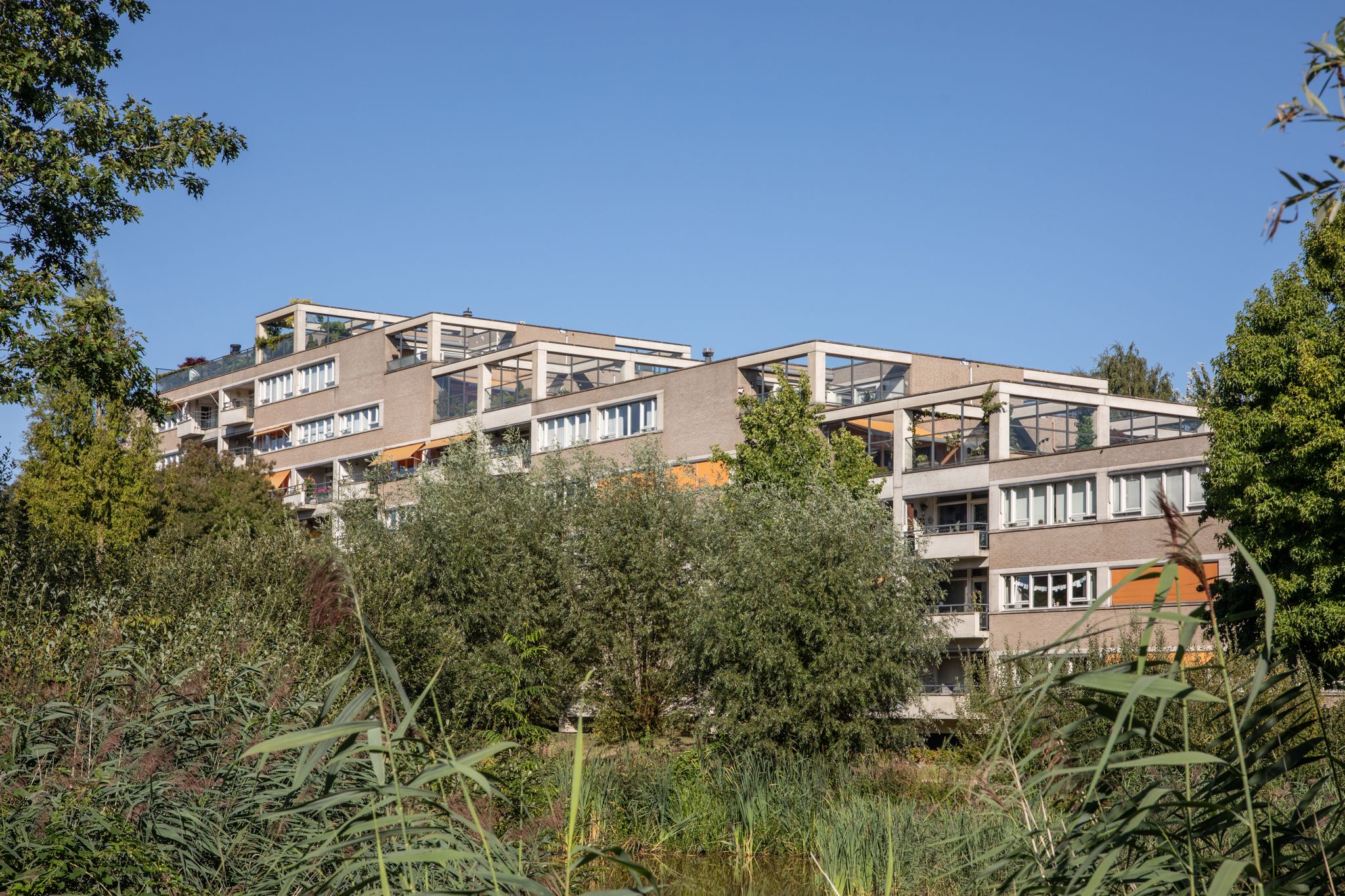 Photo 60 of Heunpark 2423