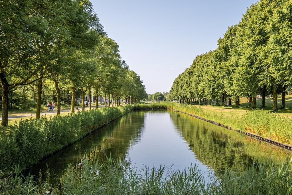 Photo 35 of Anna Blamansingel 238