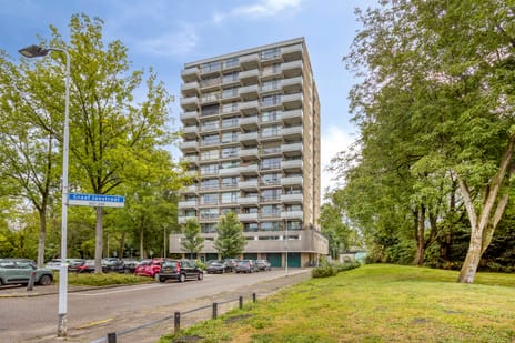 Graaf Janstraat thumbnail