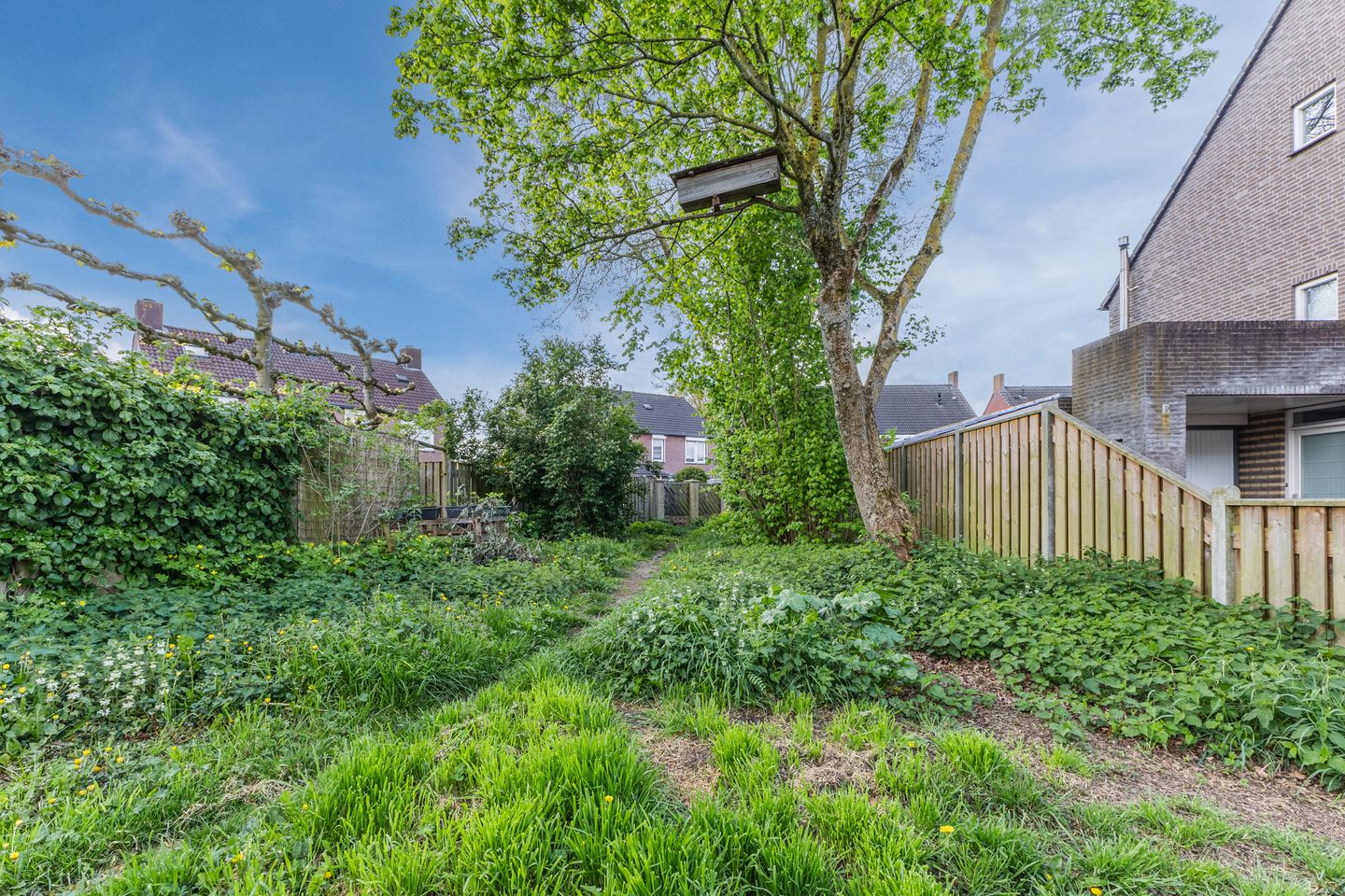 Photo 34 of Brilhoeve 4