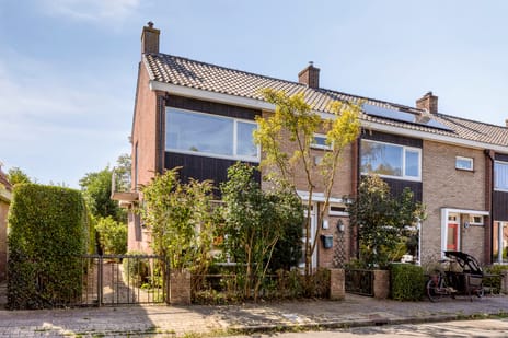 Koningin Anna Paulownastraat thumbnail