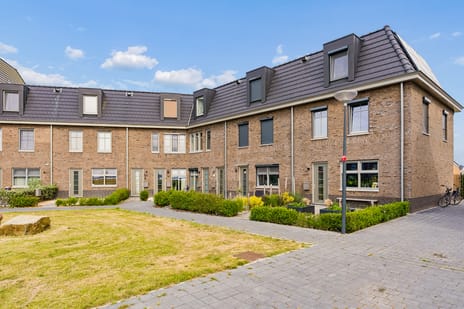 Kaapsduinhof thumbnail