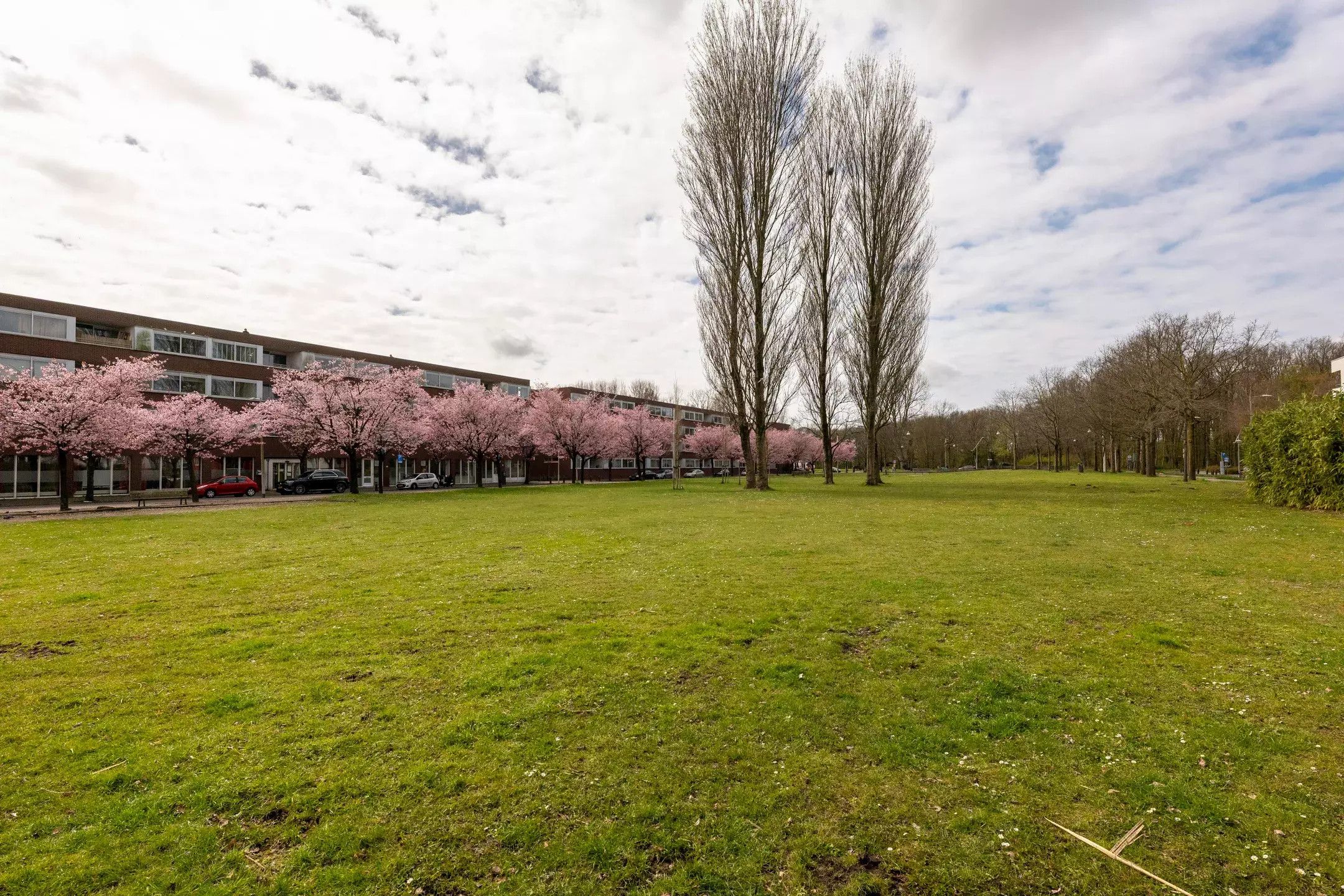 Photo 27 of Van Abbestraat 80