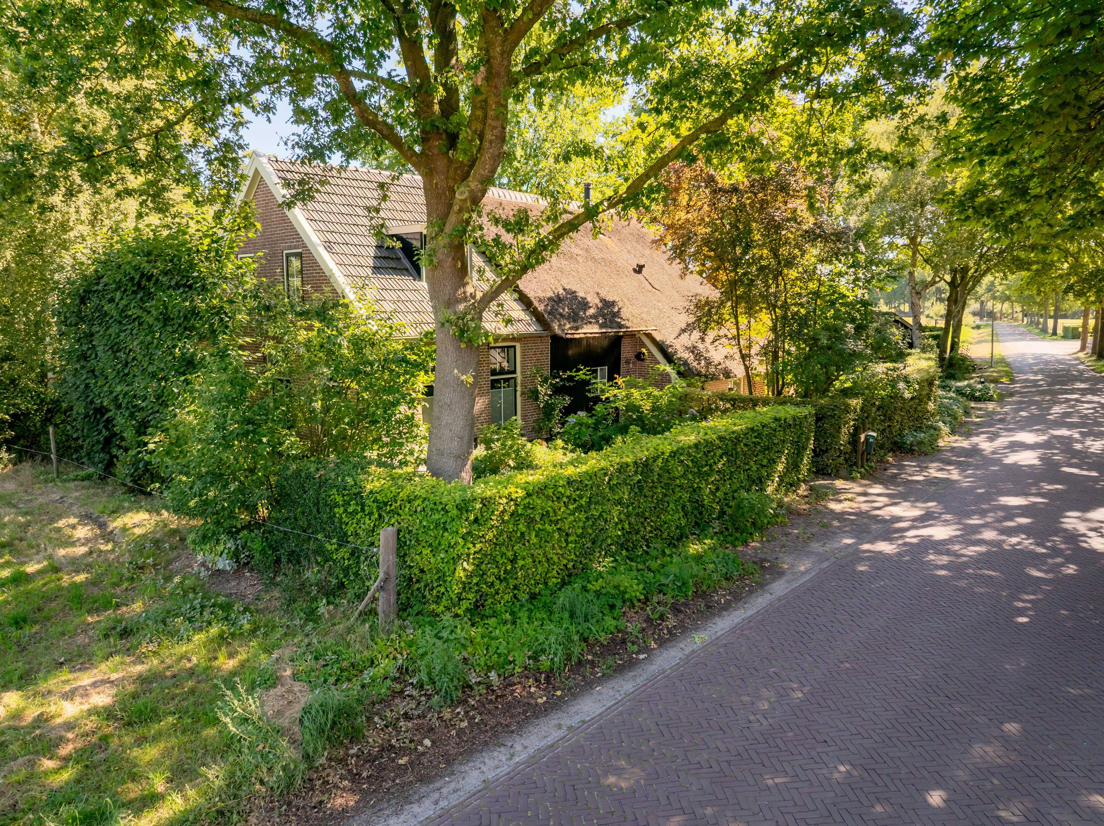 Photo 6 of Bloemberg 34
