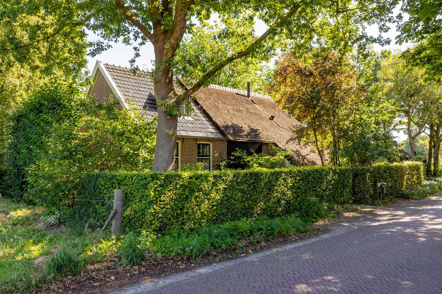 Photo 64 of Bloemberg 34