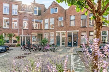Cornelis Trompstraat thumbnail