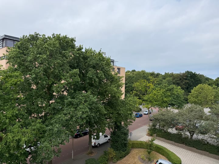 Foto 4 van Zonnebloemstraat 217