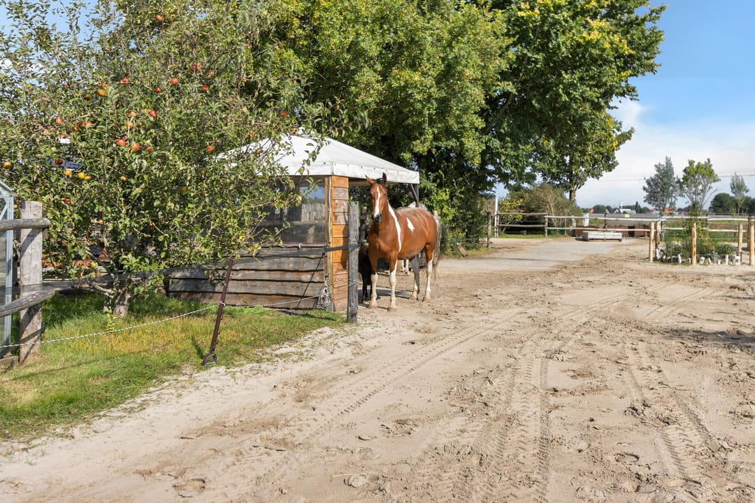 Photo 13 of Straatweg 3