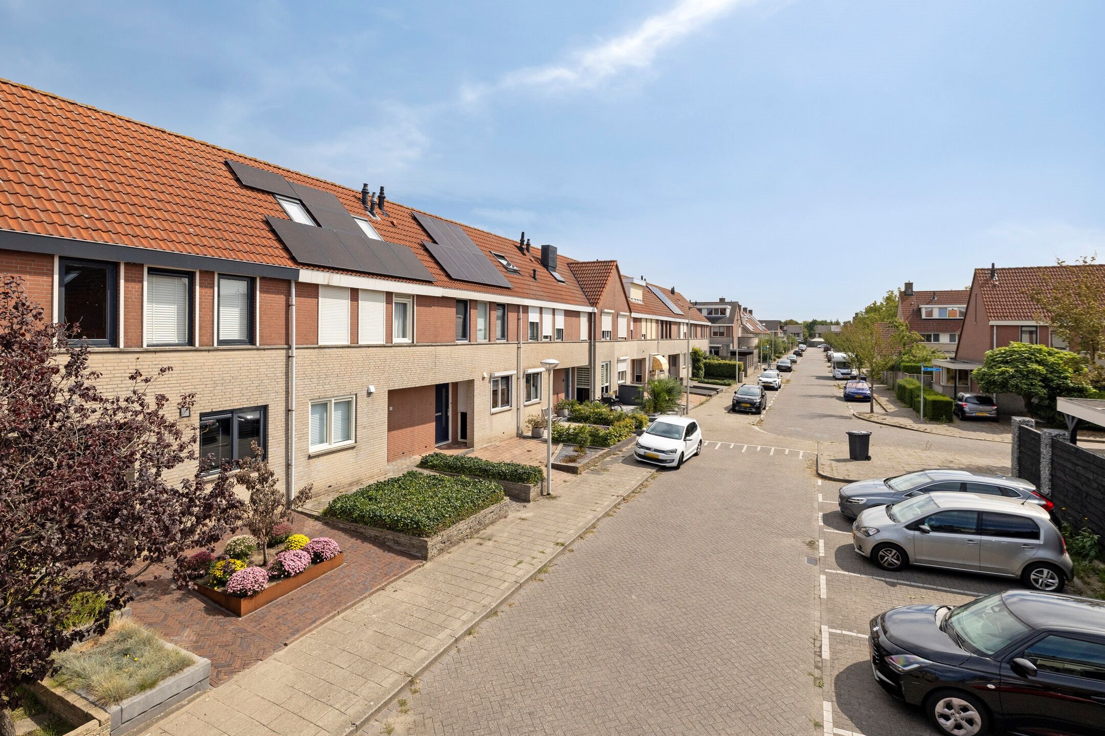 Photo 33 of Grauwe Gans 62