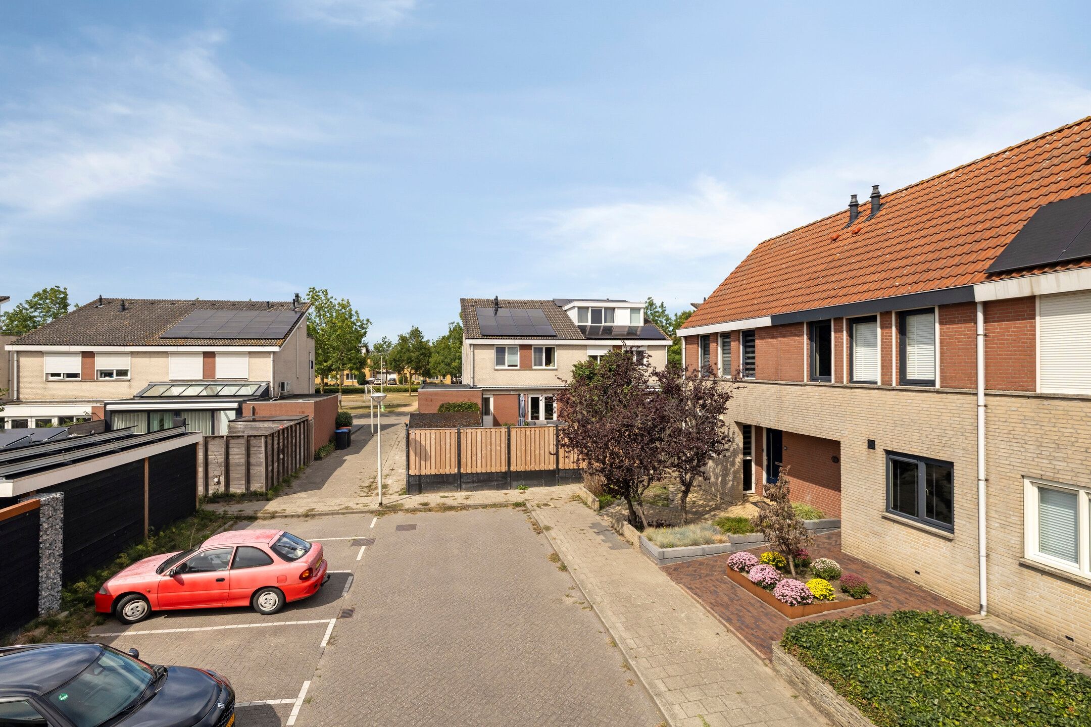 Photo 36 of Grauwe Gans 62