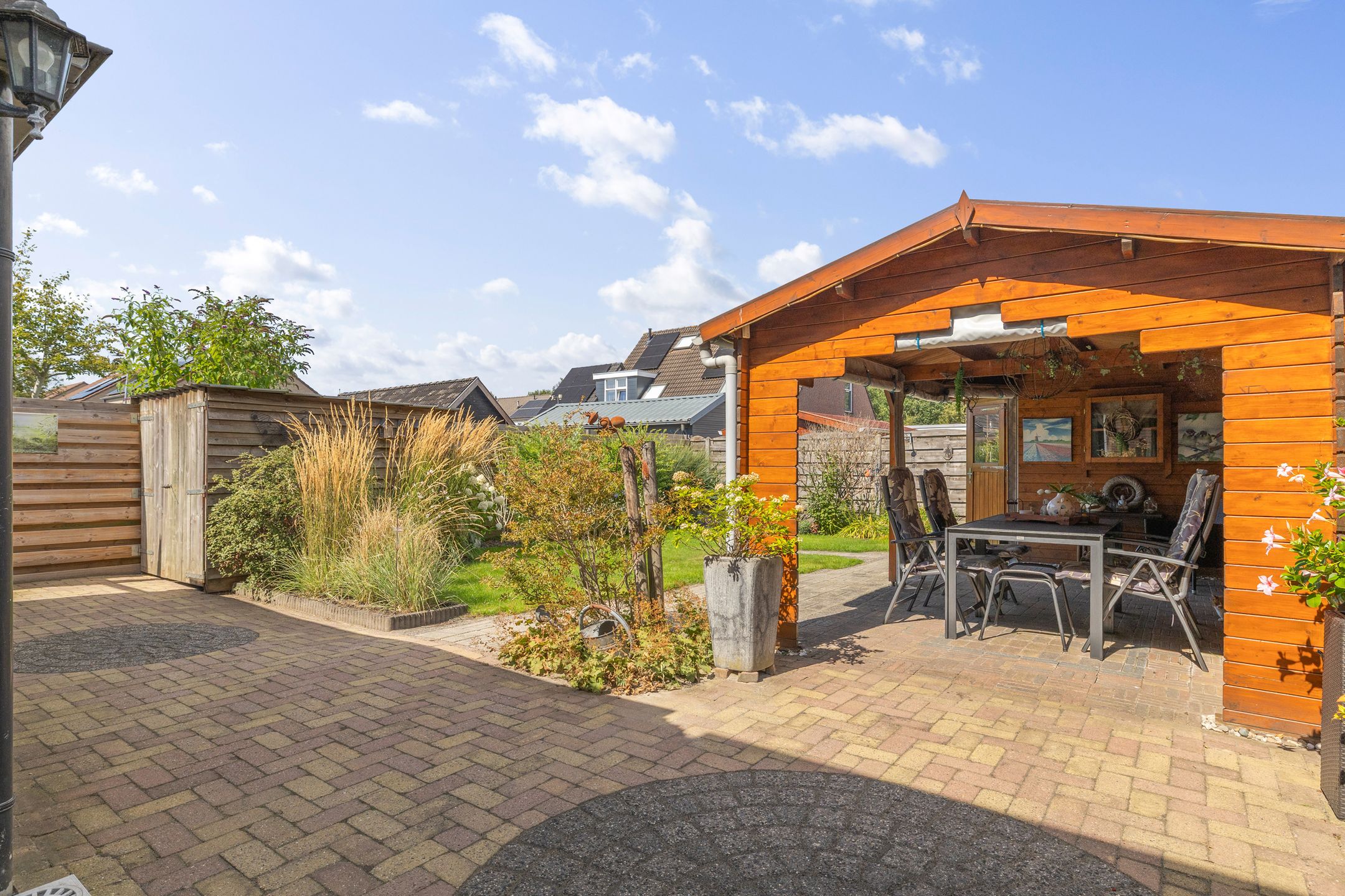 Photo 12 of Akkerdistel 56
