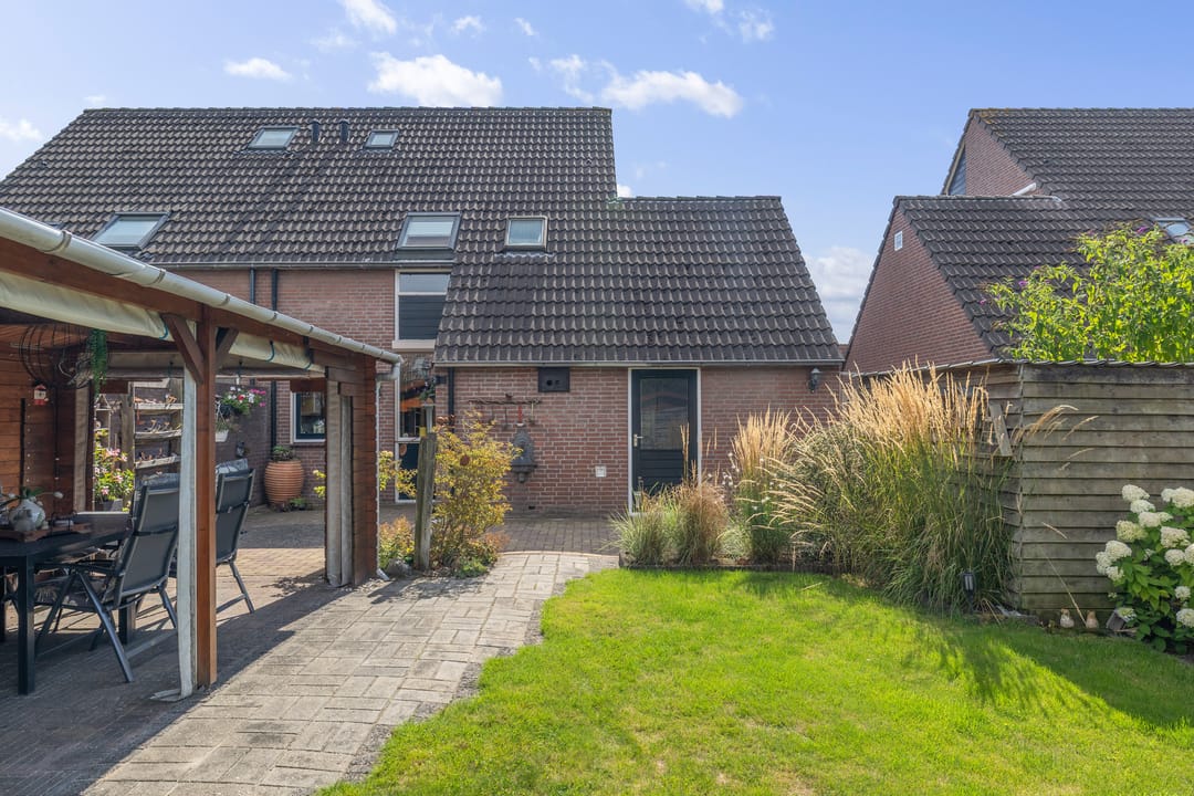 Photo 2 of Akkerdistel 56