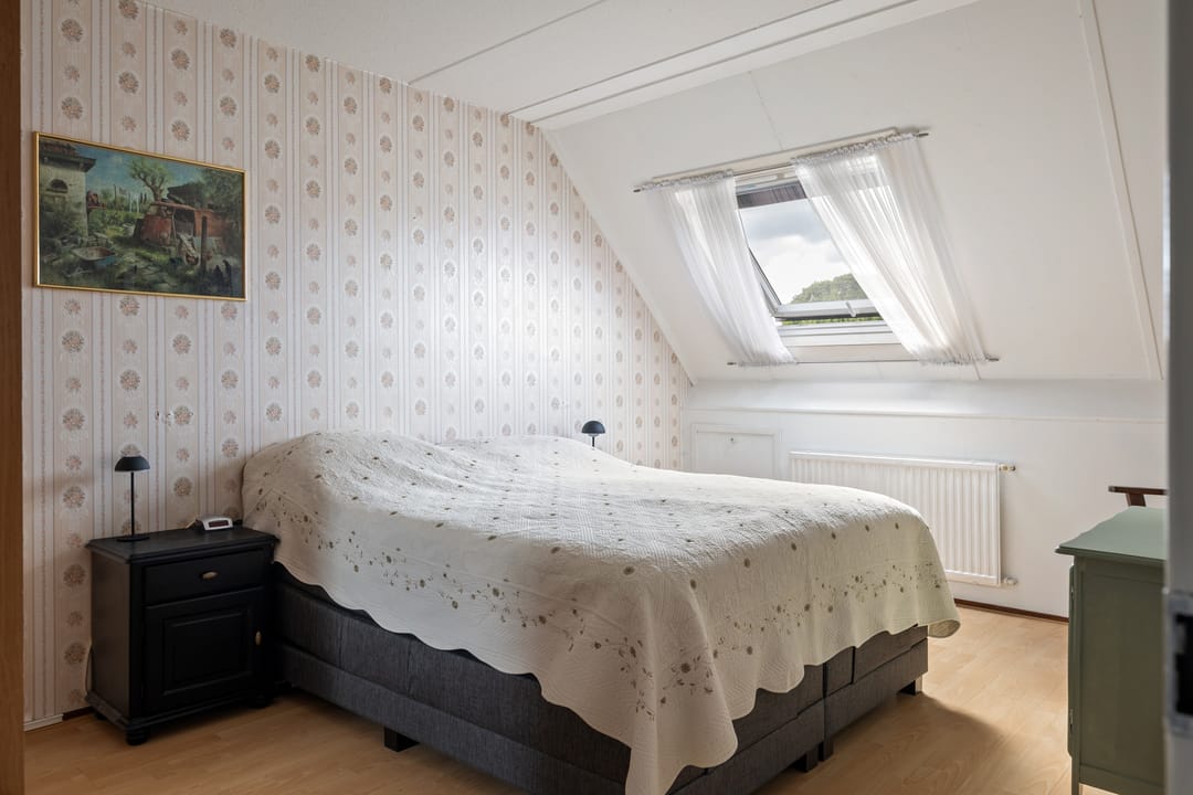 Photo 31 of Akkerdistel 56