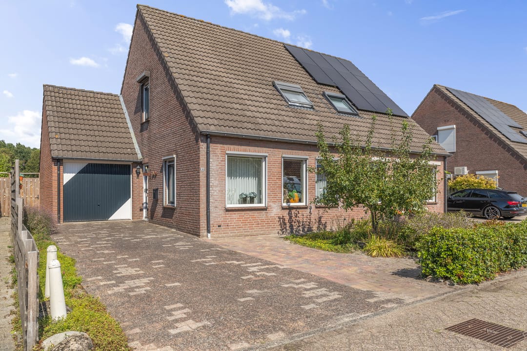 Photo 1 of Akkerdistel 56