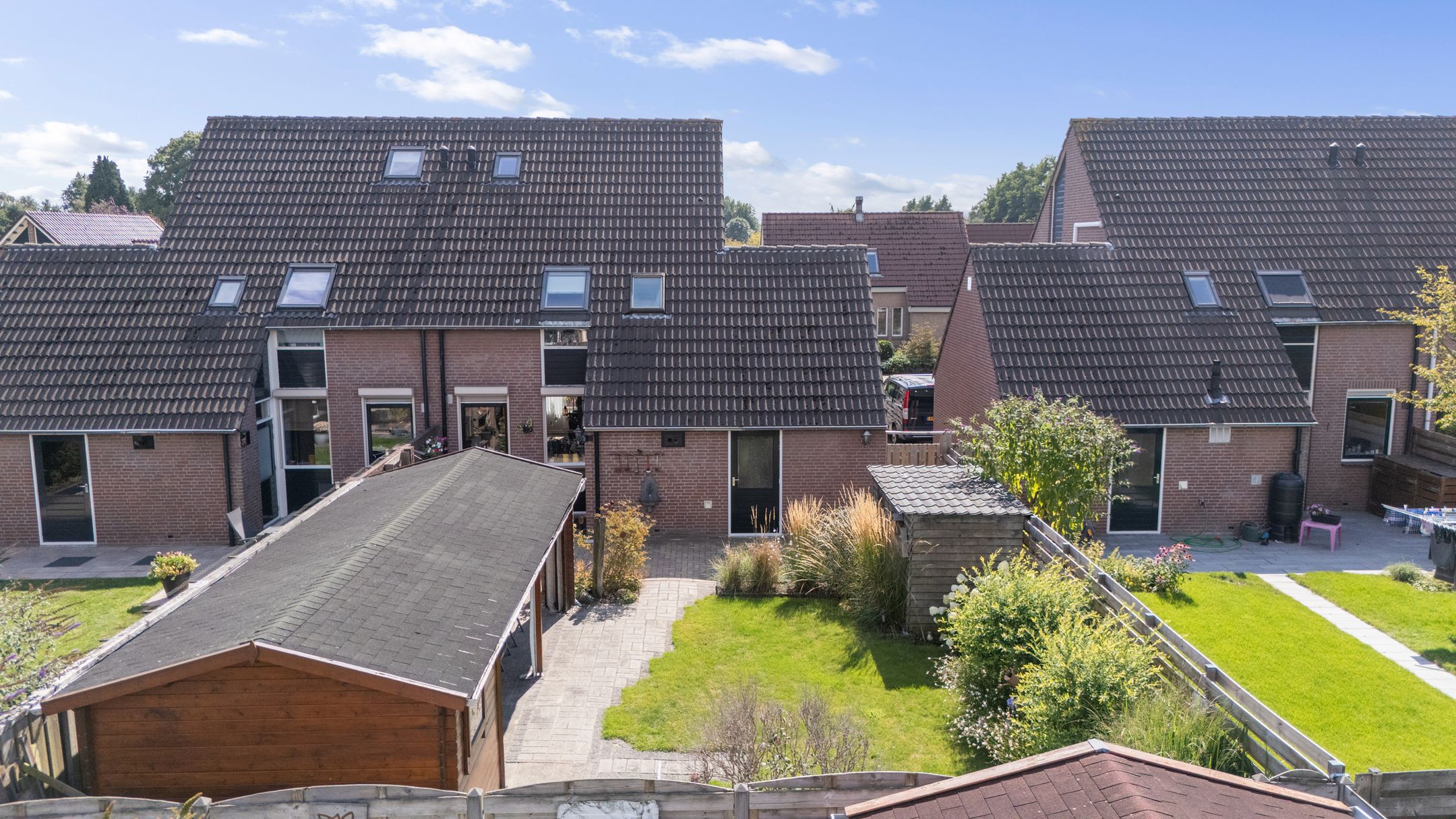 Photo 9 of Akkerdistel 56
