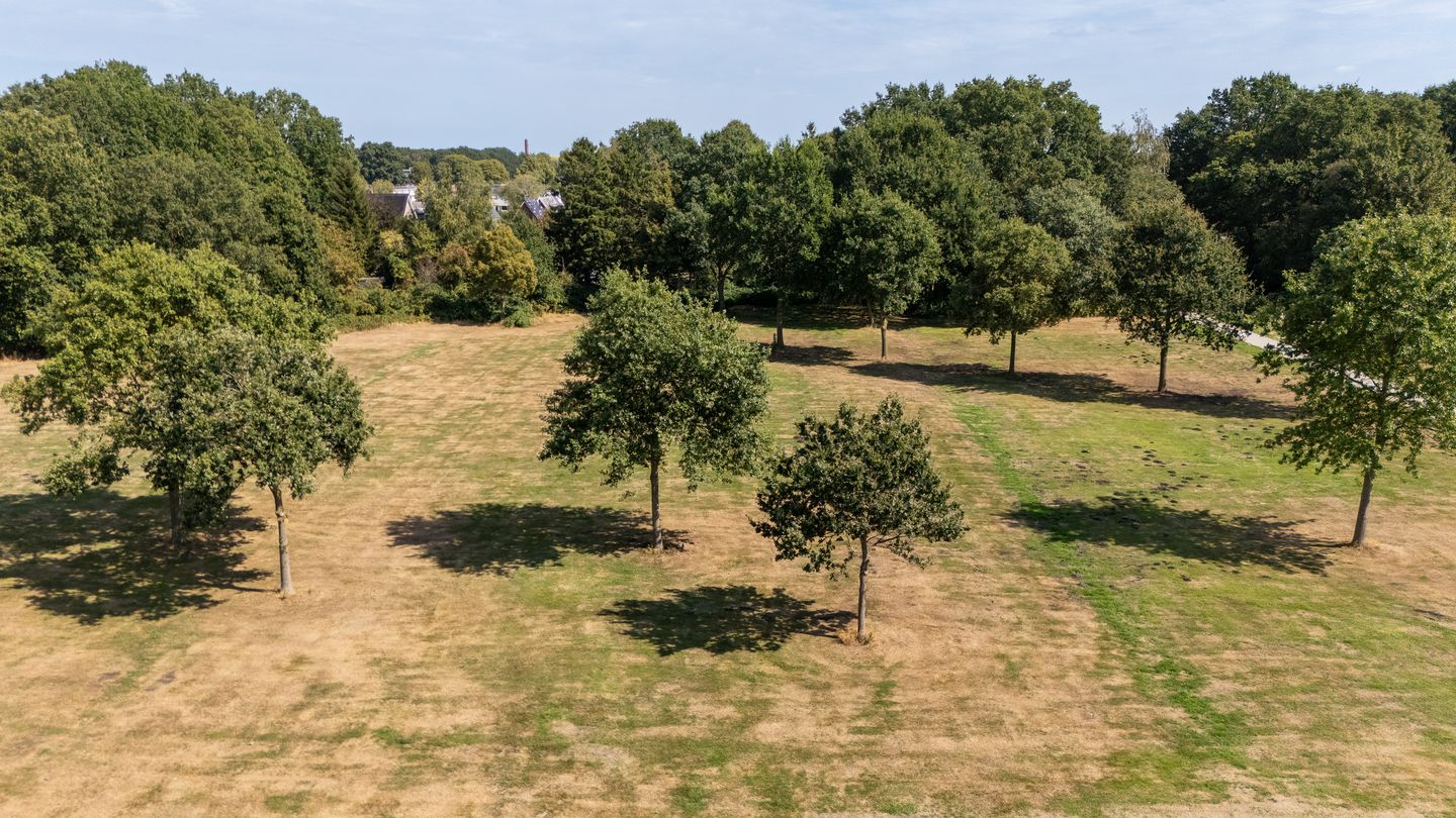 Photo 44 of Akkerdistel 56