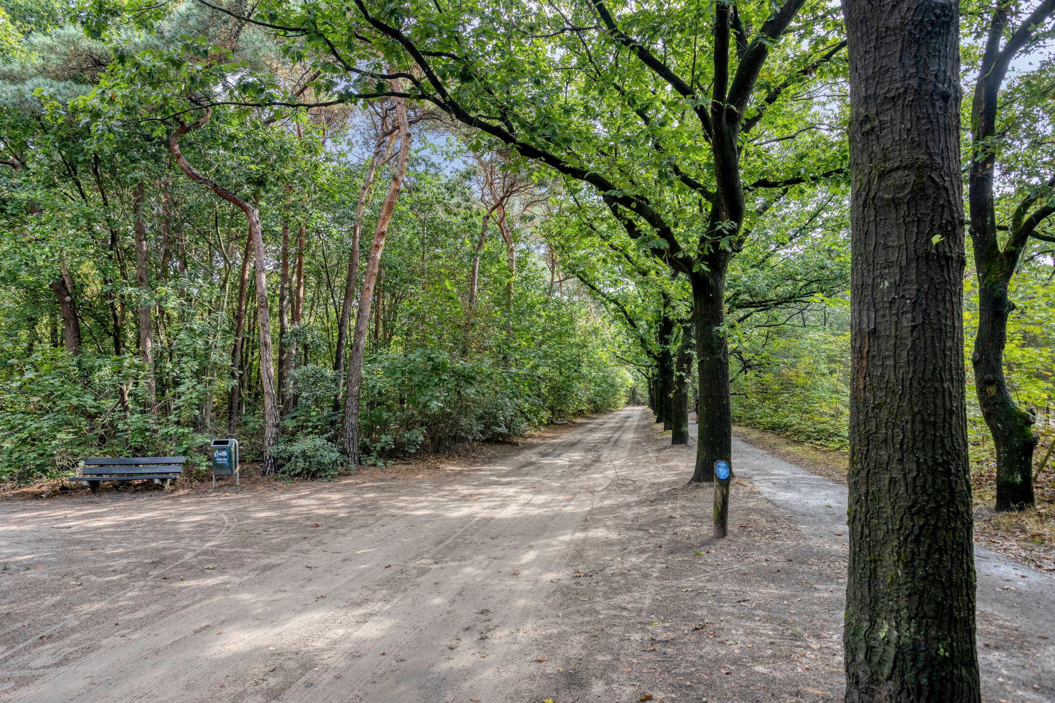 Photo 33 of Citroenvlinderhof 29
