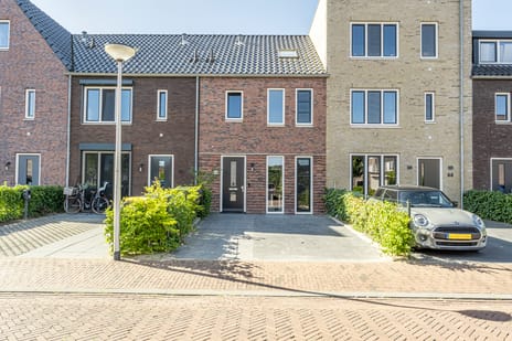 Vleugel thumbnail