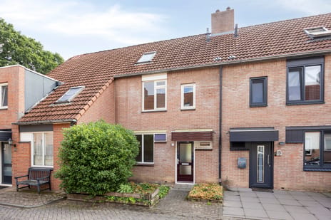 Aalscholverstraat thumbnail