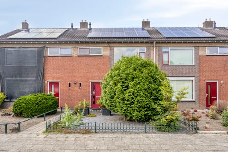 Reigerstraat thumbnail