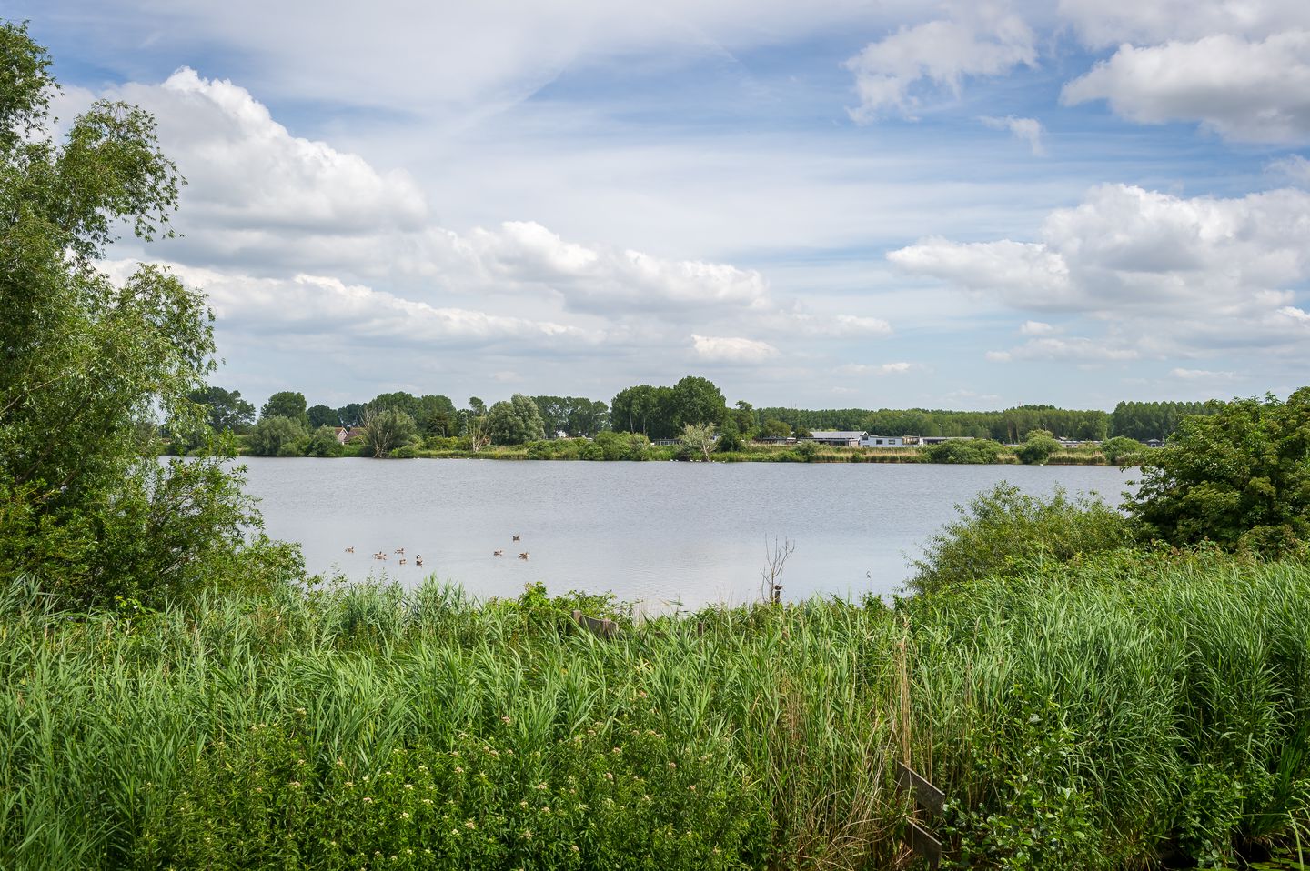 Photo 29 of Scharreveld 44