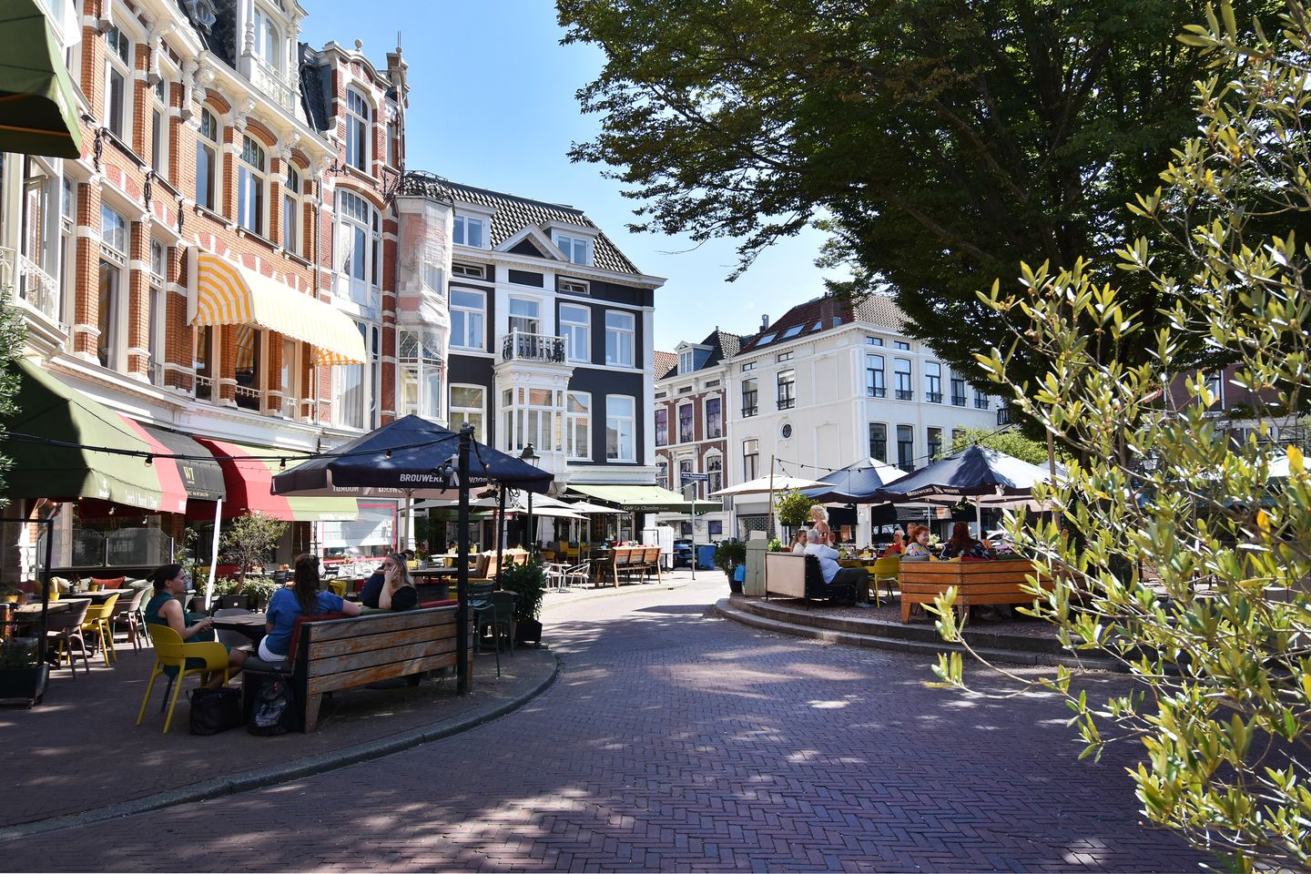 Photo 4 of Anna Paulownastraat 59-A