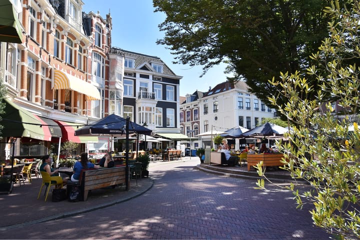 Photo 4 of Anna Paulownastraat 59-A