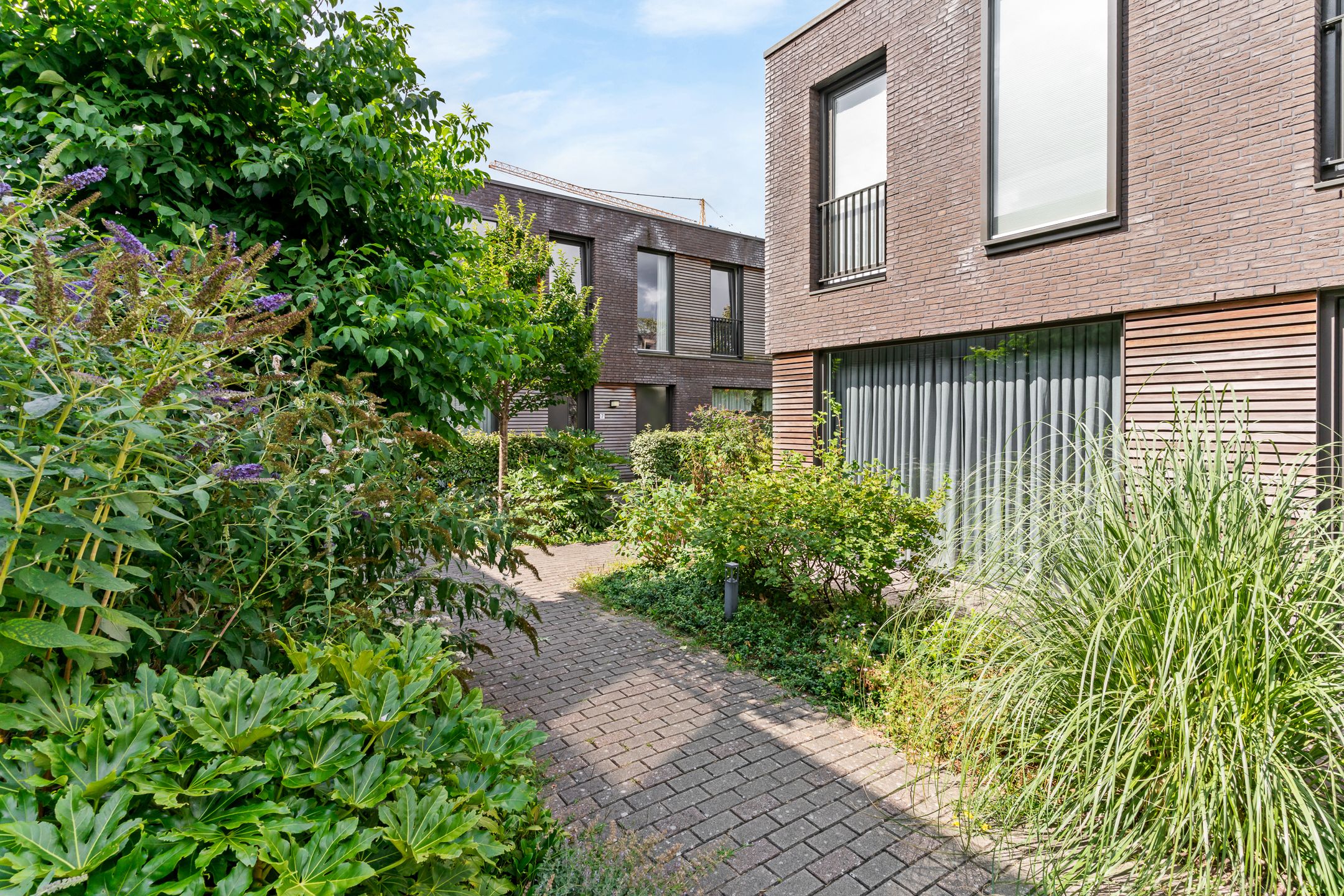Photo 6 of Warmoeziershof 7