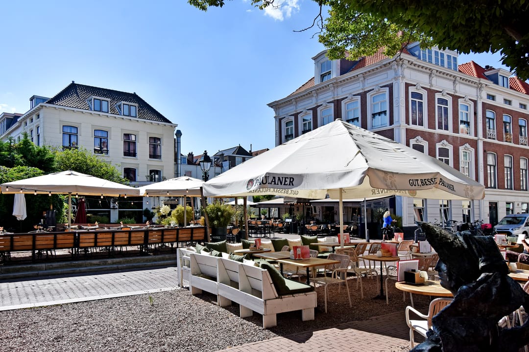 Photo 38 of Anna Paulownastraat 59-A
