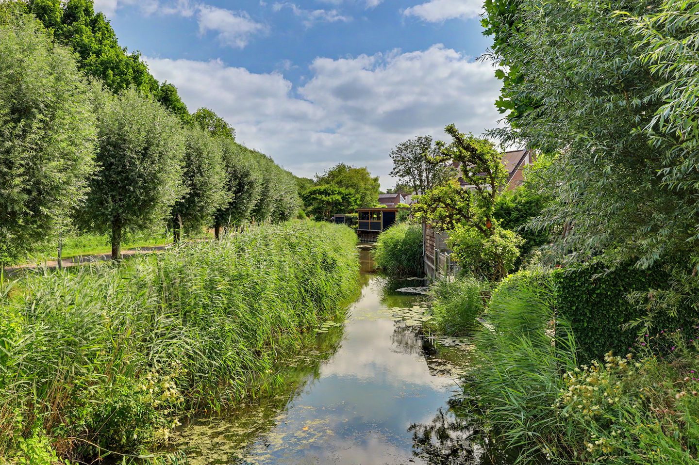 Photo 44 of Steur 60