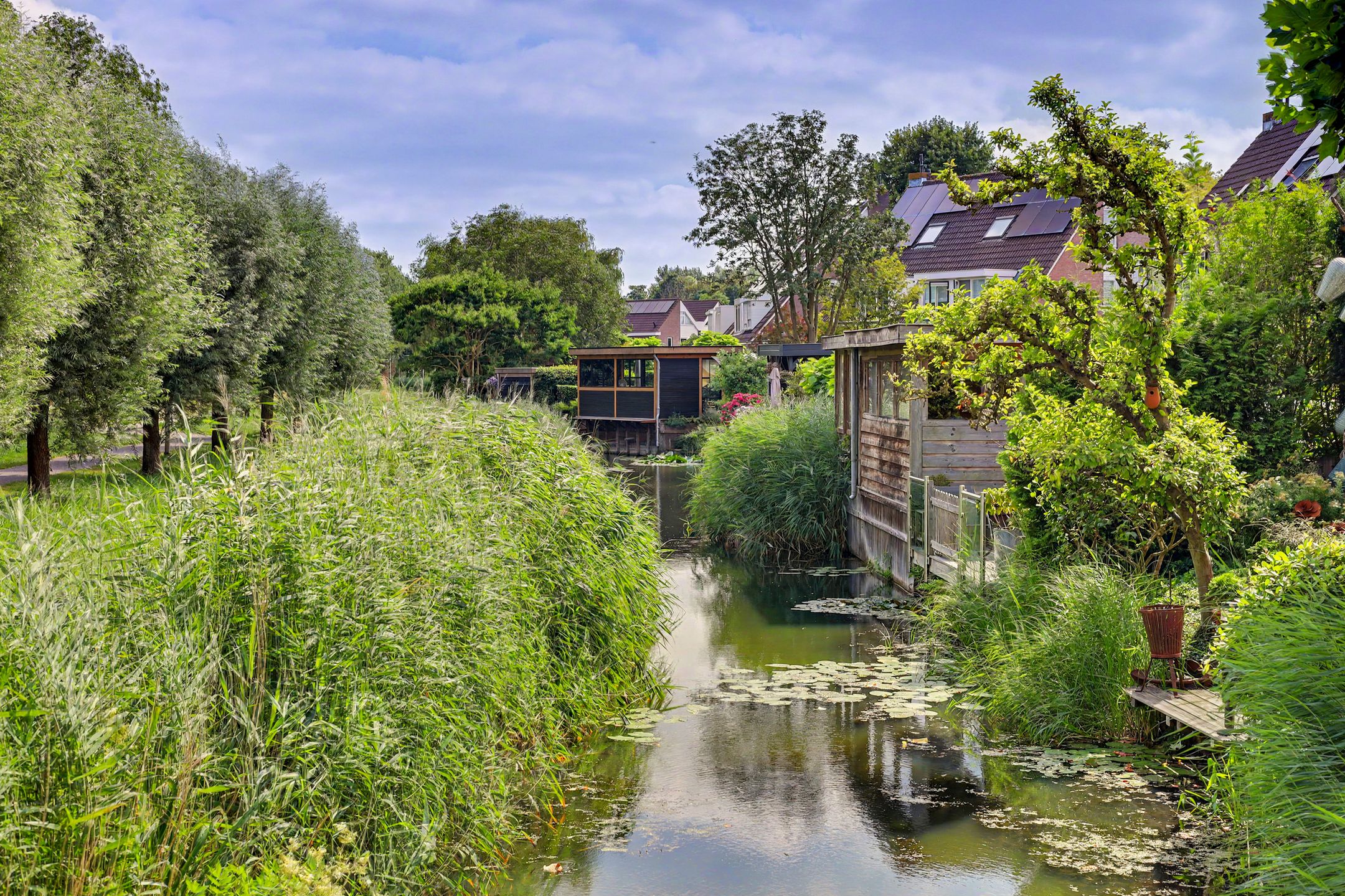 Photo 48 of Steur 60
