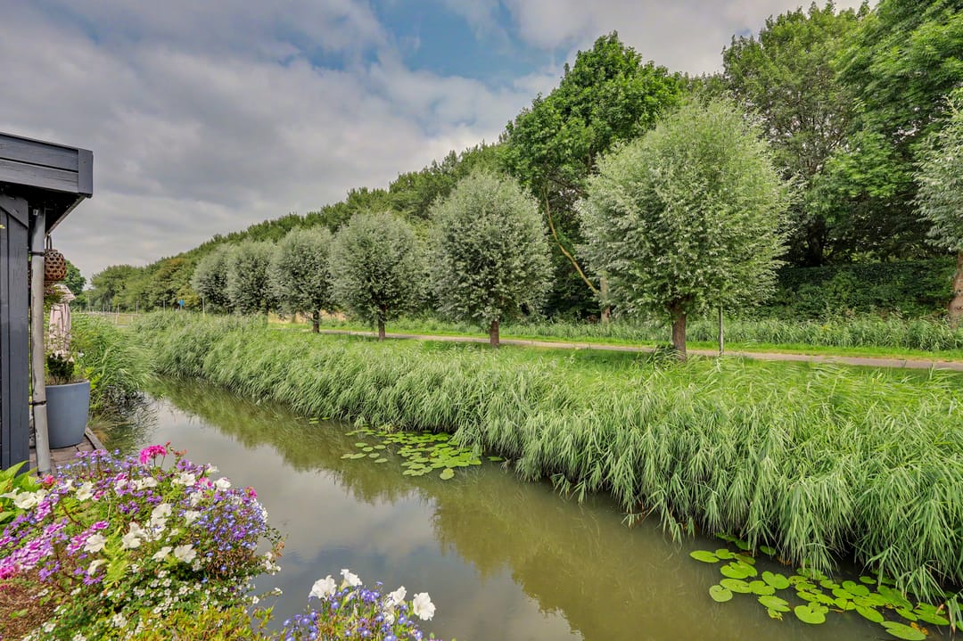 Photo 43 of Steur 60