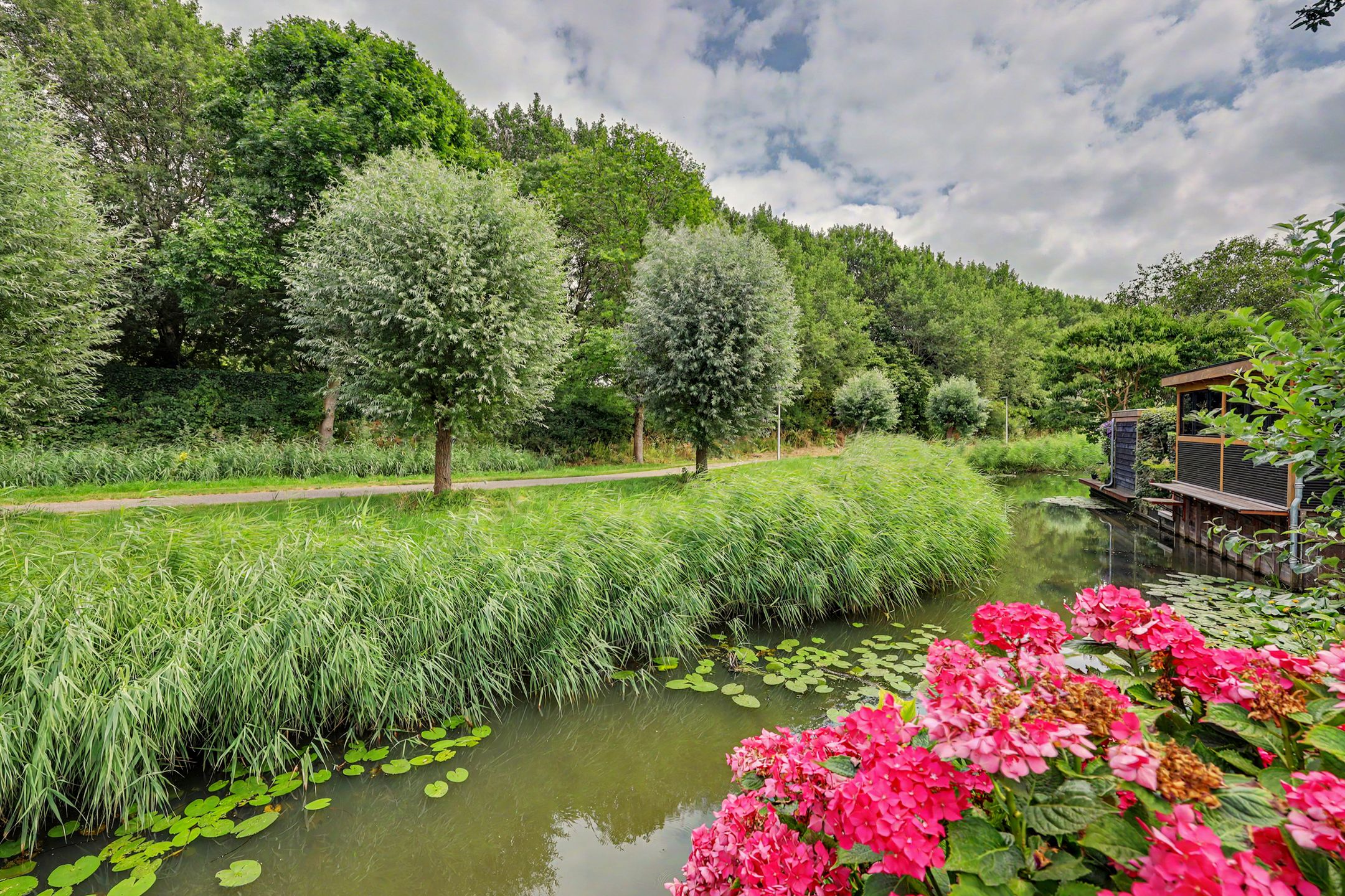 Photo 42 of Steur 60