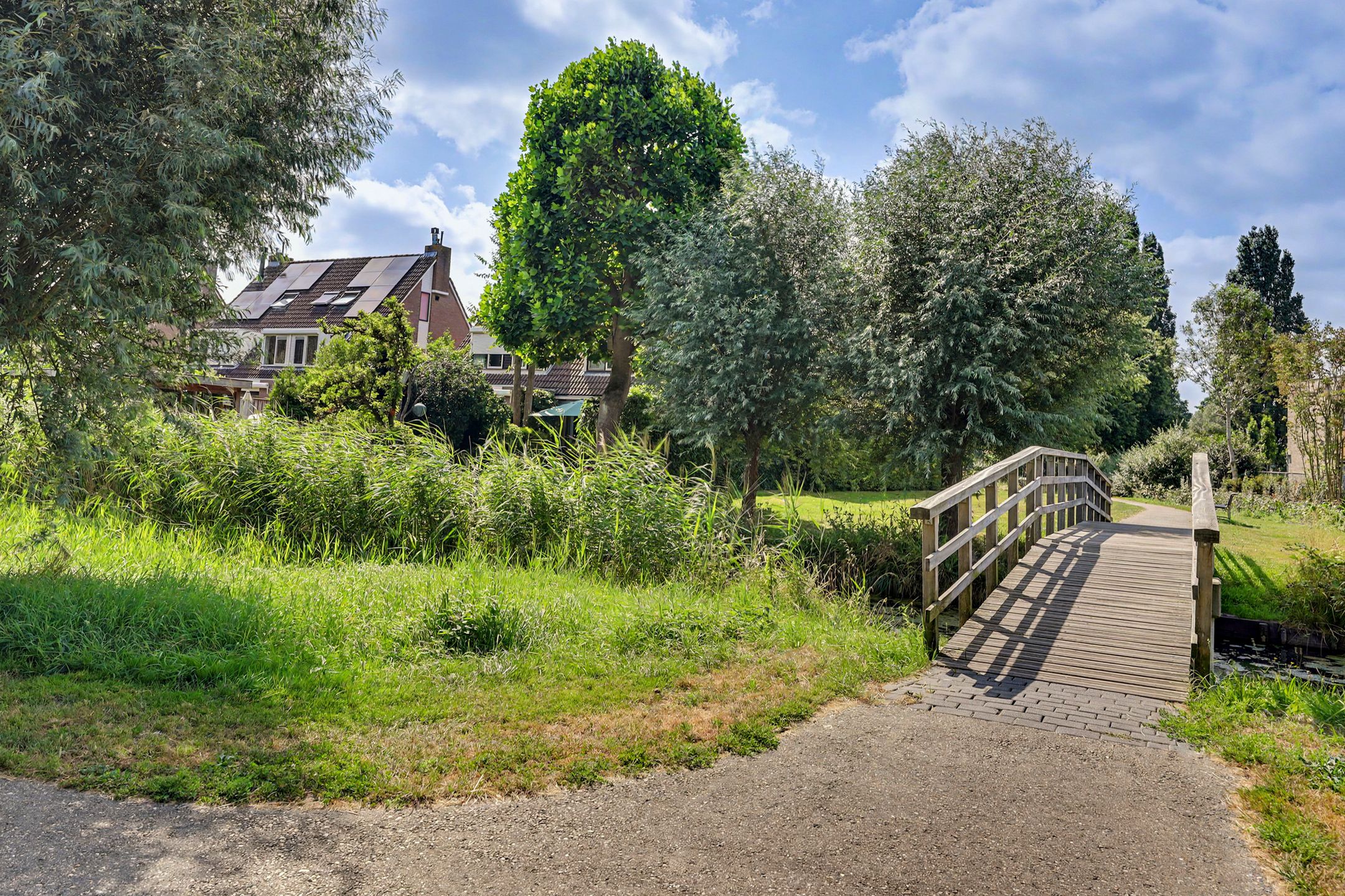 Photo 45 of Steur 60