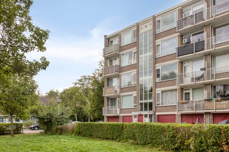 Reigerstraat thumbnail