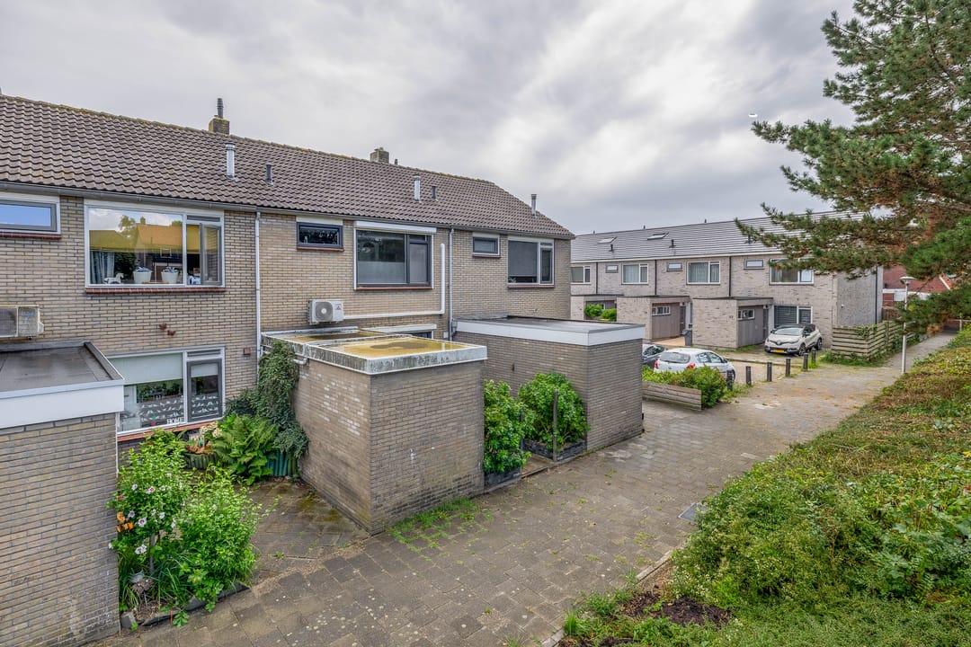 Foto 1 van Roodborst 41