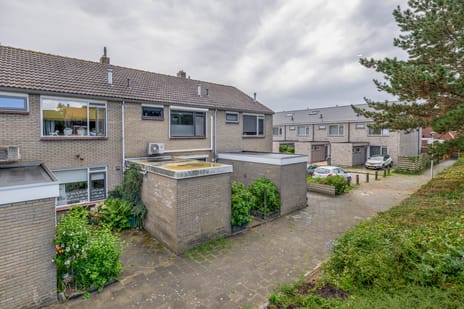 Roodborst thumbnail