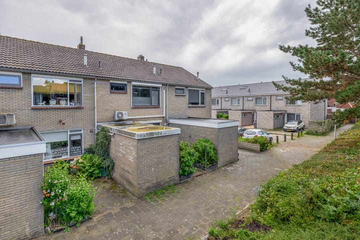 Roodborst 41