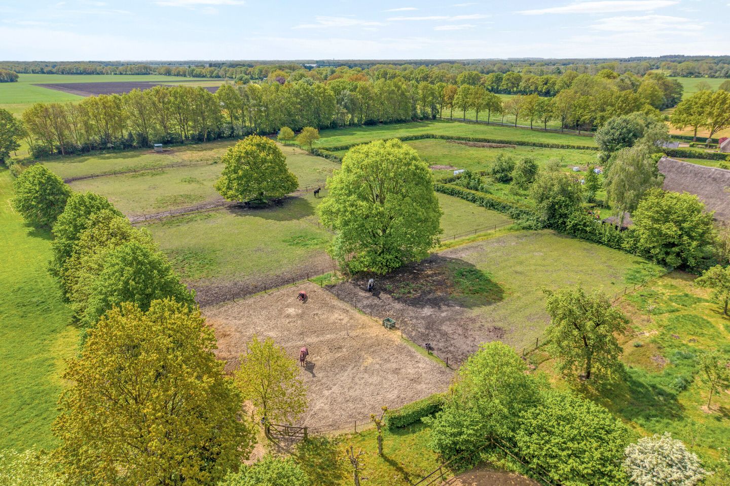 Photo 110 of Bijkersweg 4