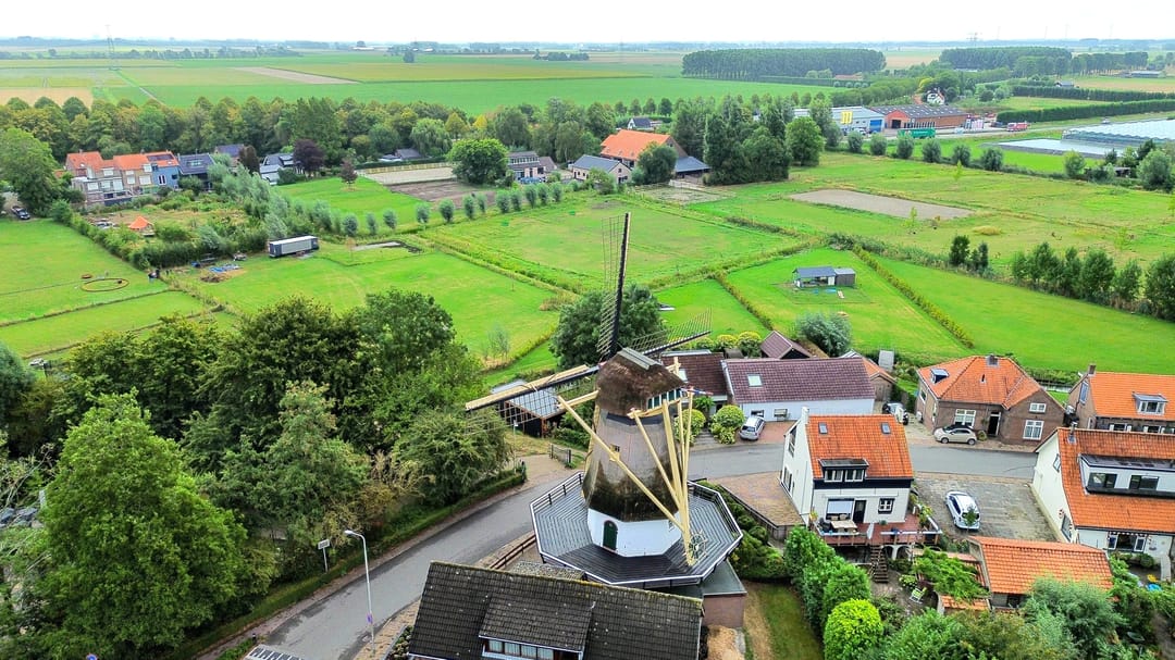 Foto 37 van Roodborst 41