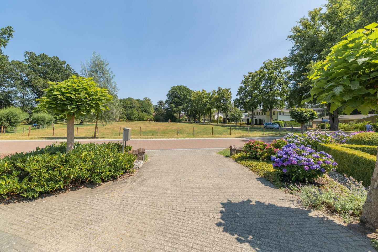 Photo 50 of Esdoornlaan 1